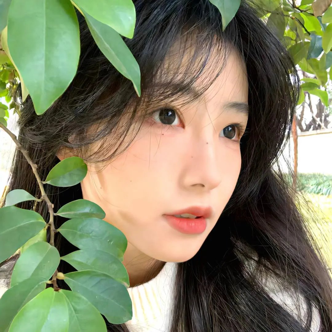 方程式恋爱